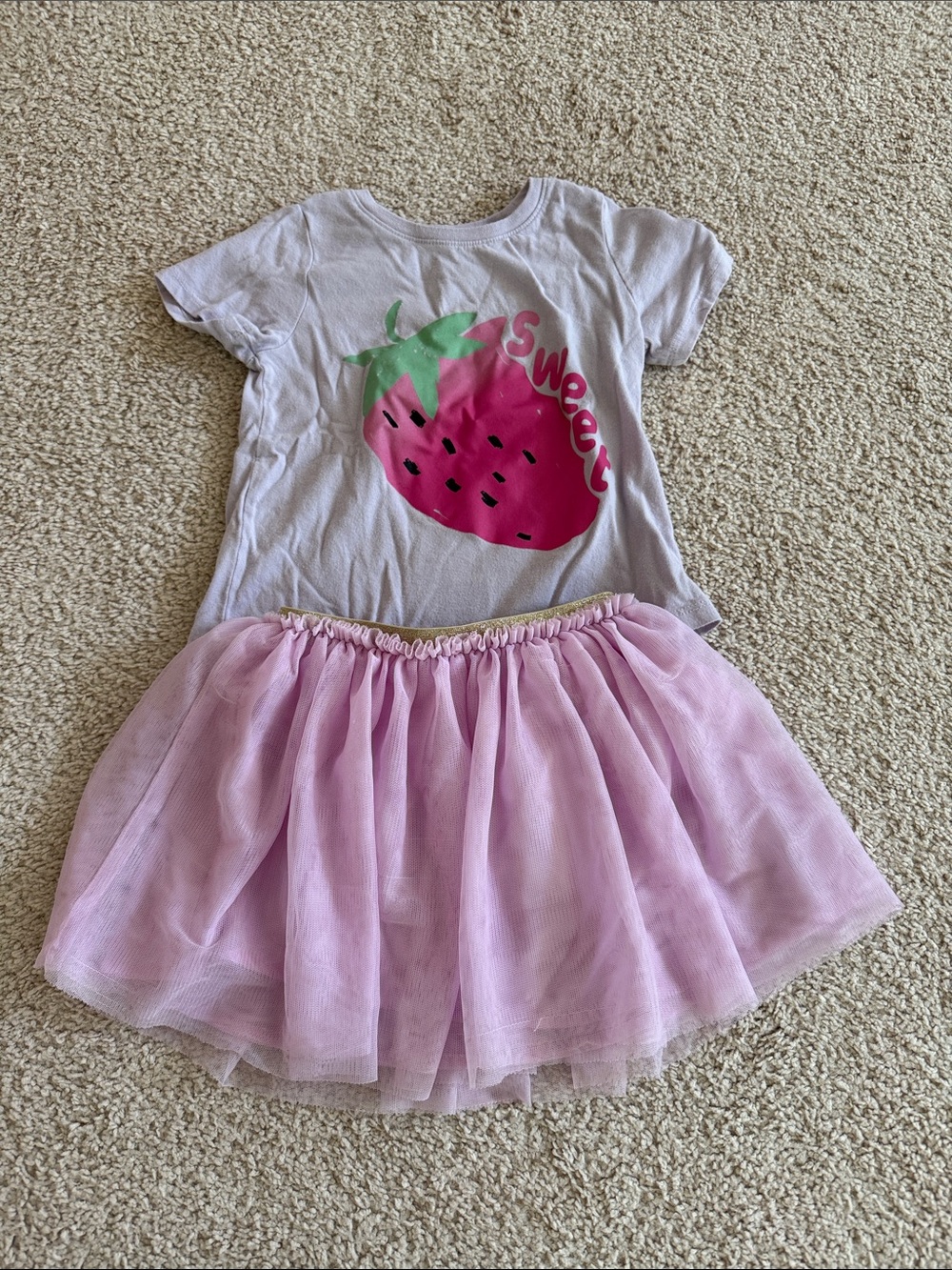 GAP Pink Strawberry Tee and Light Pink Tulle Skirt Set